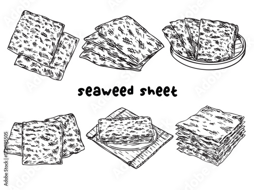 Set of hand drawn seaweed sheet outline drawing illustration