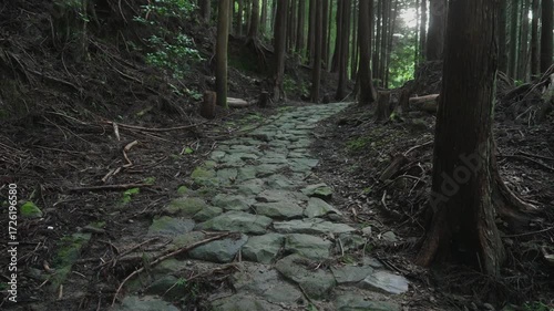 「世界遺産・熊野古道中辺路の石畳道」和歌山県田辺市中辺路町高原