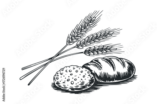 Loaf of Bread and Wheat Stalks Sketch. Vector hand drawn illustration