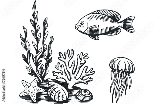 Ocean life hand drawn sketch with fish coral and starfish. Vector hand drawn illustration