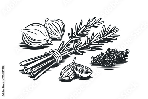 Bunch of Rosemary with Garlic and Peppercorns. Vector hand drawn illustration