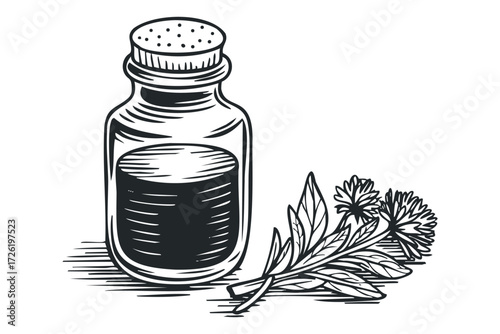 Glass vial with stopper and herbal sprigs. Vector hand drawn illustration