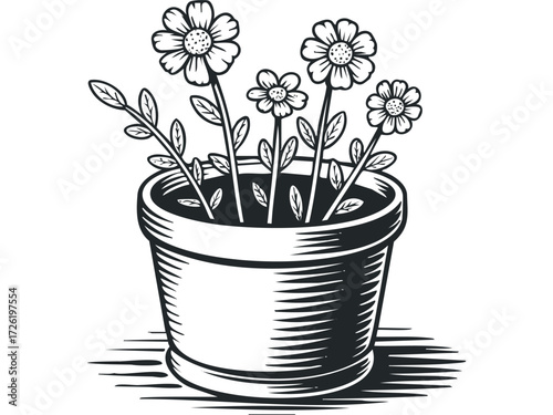 Potted Daisies with Leaves. Vector hand drawn illustration