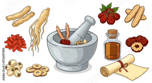 Vector illustration set of traditional chinese medicine ingredients like ginseng, goji berries and jujube