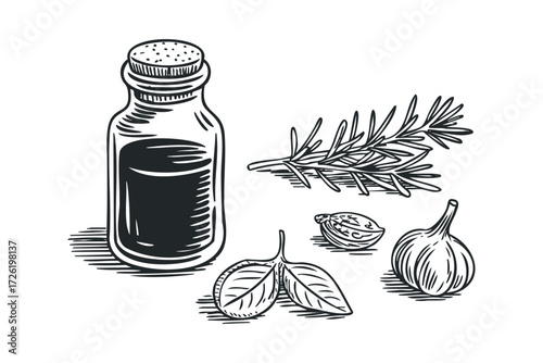 Black and white drawing of seasoning ingredients and oil bottle. Vector hand drawn illustration
