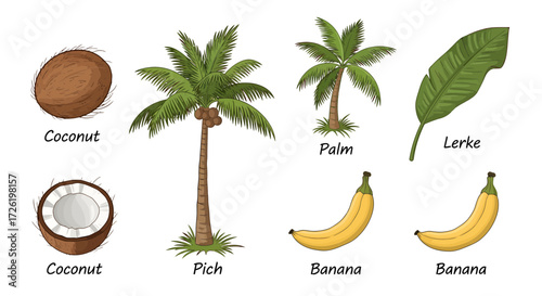 Vector illustration collection of hand-drawn tropical elements featuring palm trees, coconuts, bananas, and an exotic leaf