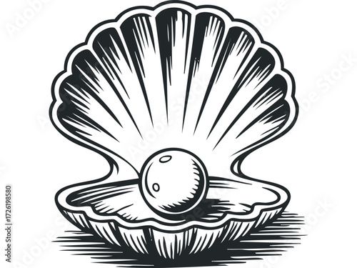 Oyster shell with pearl inside. Vector hand drawn illustration