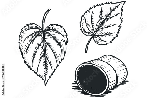 Hand drawn leaves and fallen barrel illustration. Vector hand drawn illustration
