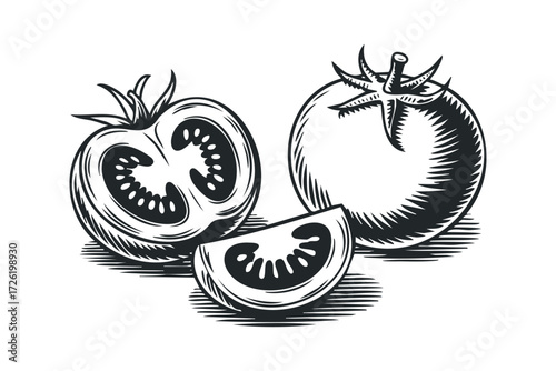 Whole and sliced tomato with seed detail. Vector hand drawn illustration