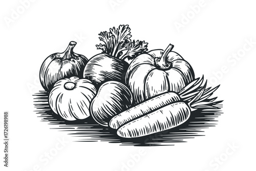 Assorted Fresh Vegetables in Black and White Sketch. Vector hand drawn illustration