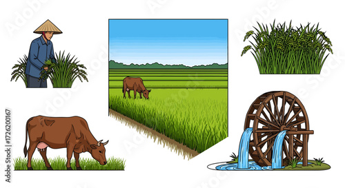 Rural agricultural scenes featuring rice paddies, livestock, and water wheels, illustrating traditional farming methods