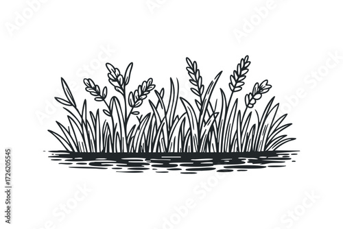 Black ink drawing of grass and reeds on water surface. Vector hand drawn illustration