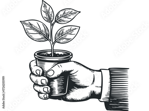 Hand holding potted plant sprout. Vector hand drawn illustration