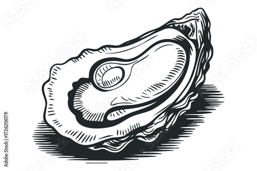 Open Oyster Illustration. Vector hand drawn illustration