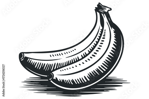 Stylized black and white illustration of two ripe bananas. Vector hand drawn illustration