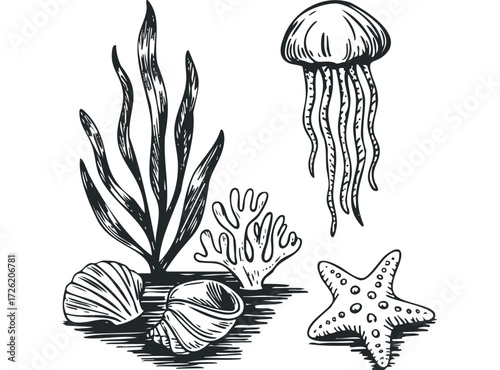 Hand Drawn Marine Life Collection with Seashells and Coral. Vector hand drawn illustration