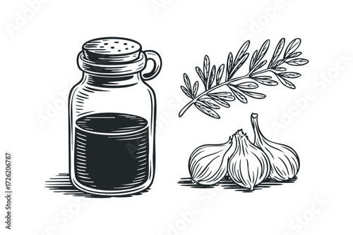Bottle of Oil with Rosemary and Garlic. Vector hand drawn illustration
