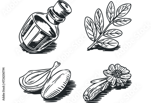 Medicinal plant extract bottle with botanicals and ingredients. Vector hand drawn illustration