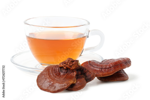 Reishi mushroom tea in a clear cup with dried reishi mushrooms next to it. isolated on white background.