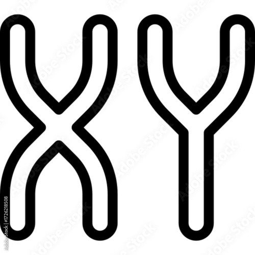 Chromosome DNA Illustration