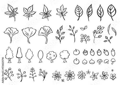 Hand-Drawn Autumn Botanical Illustration Set