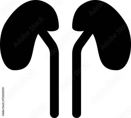 Kidney Icon