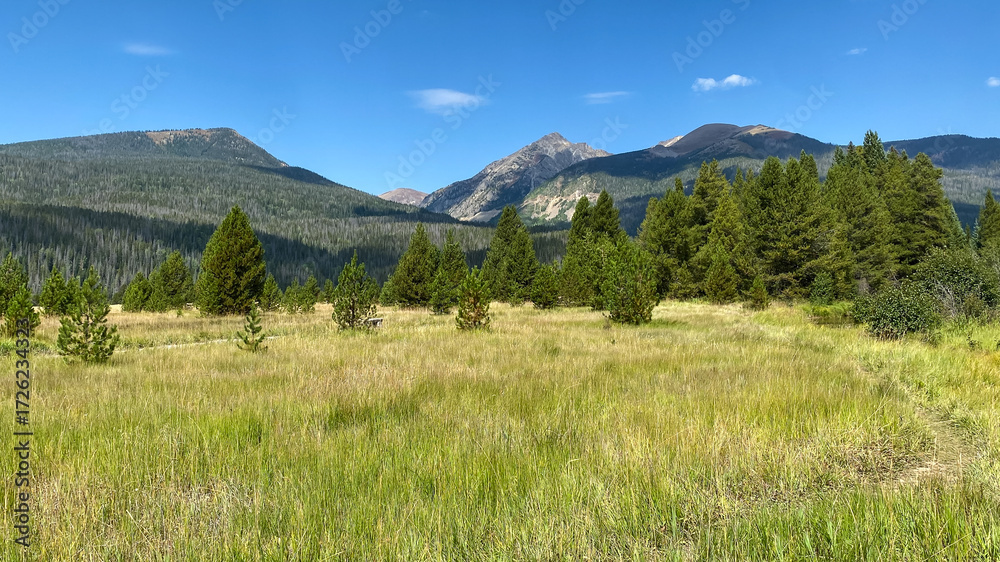 Obraz premium The Coyote Valley in Rocky Mountain National Park