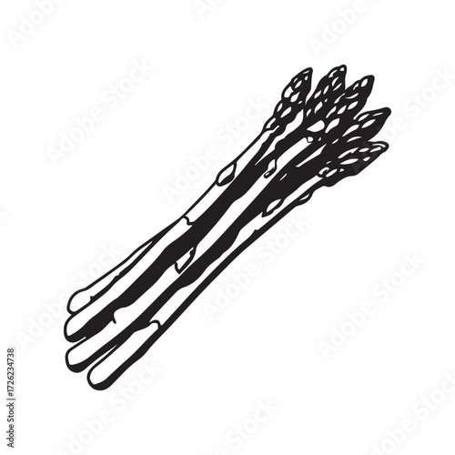 Black and White of a Bunch of Asparagus Stalks