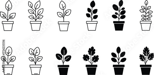 Botanical plant icon set, black and outline potted foliage, minimalist leaf shapes, decorative silhouette vector, indoor greenery, nature illustration collection
