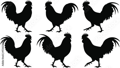 Rooster silhouette vector set, black poultry icons, farm animal illustration collection, editable livestock graphics, rural bird design, feather detail poses
