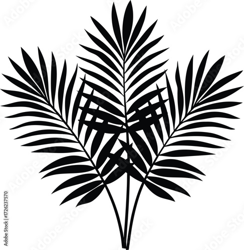 tropical summer leaves vector  bundle of palm fron.eps