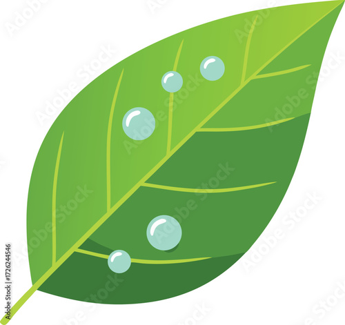 Illustration of a fresh green leaf with several clear water droplets on its surface, symbolizing nature, freshness, and purity