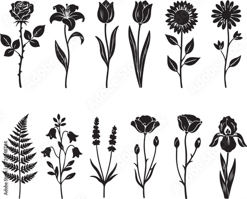 Elegant Floral Silhouettes: A visually striking collection of various flower species captured in intricate black silhouettes. Showcasing the grace and beauty of nature's creations in minimalist form.
