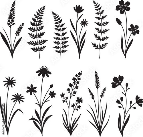 Elegant Botanical Silhouettes: A collection of exquisite botanical silhouettes, gracefully displaying diverse plants, from delicate flowers to intricate ferns, perfect for enhancing design projects. 