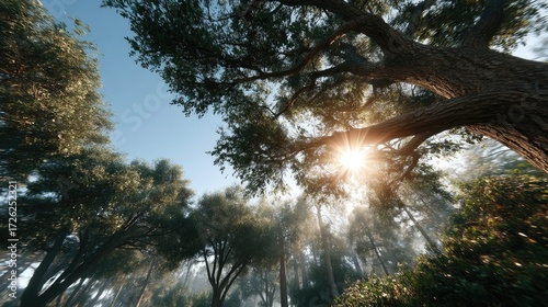 Sunlight Streaming Through Deciduous Trees with Green Foliage in Warm Cinematic Glow Under Blue Sky