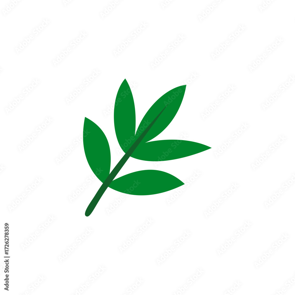 Fototapeta premium green leaf isolated on white
