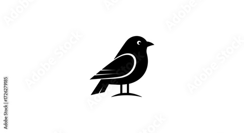 Black bird standing with Flat...