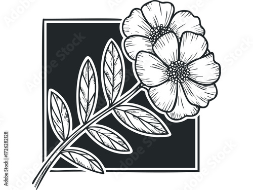 Hand drawn two flower outline with leaves inside a square frame. Vector hand drawn illustration