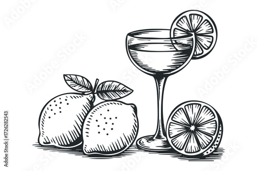 Lemonade drink with whole and sliced fruit. Vector hand drawn illustration