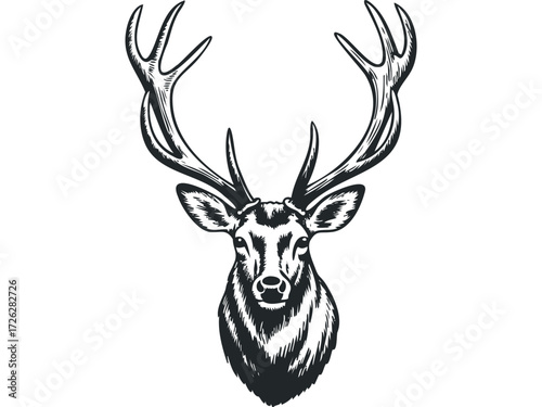 Deer Head with Antlers Hand Drawn Sketch. Vector hand drawn illustration