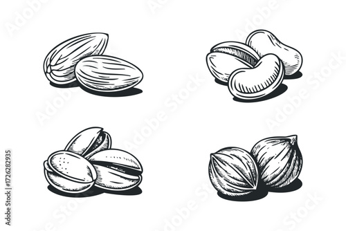 Four Clusters of Assorted Nuts Line Drawing. Vector hand drawn illustration