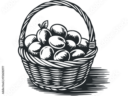 Woven basket filled with ripe plums and leaf. Vector hand drawn illustration