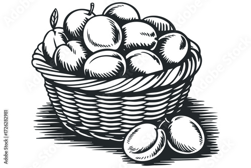 Woven basket overflowing with ripe stone fruit. Vector hand drawn illustration