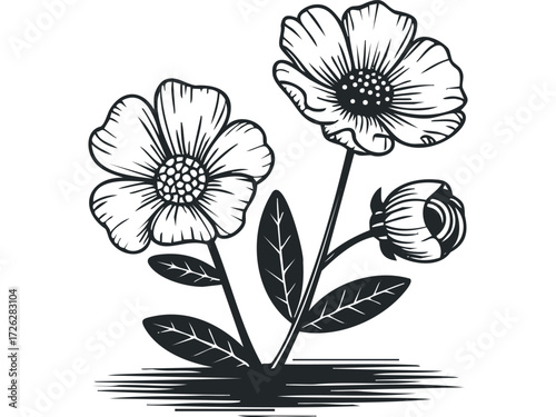 Two Blooming Flowers and Bud on Stems. Vector hand drawn illustration
