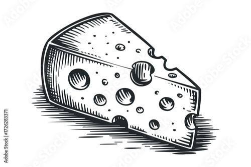 Cheese wedge with holes and crust, black and white sketch. Vector hand drawn illustration
