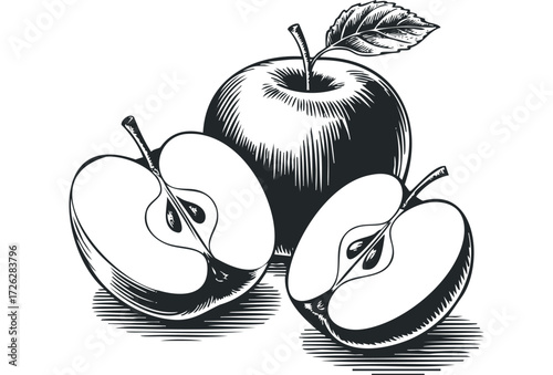 Whole and halved apple with leaf in linocut style. Vector hand drawn illustration