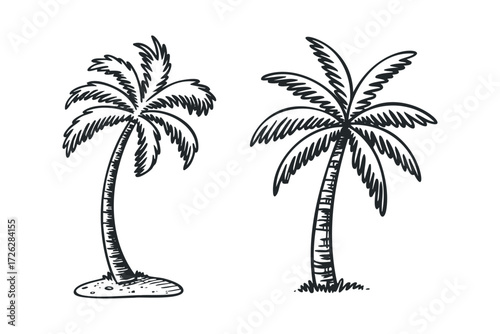Two Palm Trees Sketch With Sandy Ground And Grass. Vector hand drawn illustration