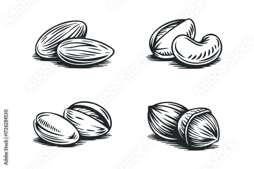 Assorted Nuts Set Line Art Graphic. Vector hand drawn illustration