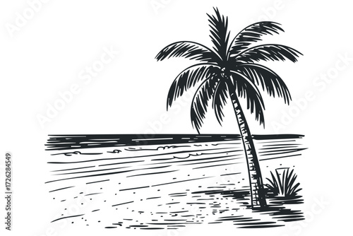 Sketch of a solitary palm tree on a sandy shore by the ocean. Vector hand drawn illustration
