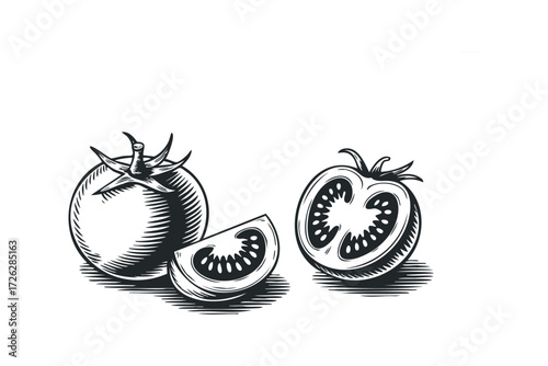Halved and Whole Tomato with Slice. Vector hand drawn illustration
